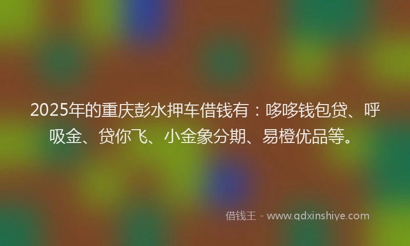 2025年的重庆彭水押车借钱有：哆哆钱包贷、呼吸金、贷你飞、小金象分期、易橙优品等。
