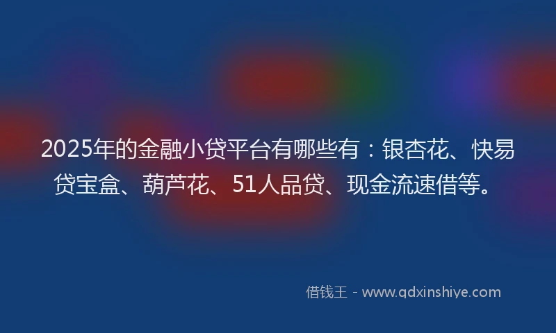 2025年的金融小贷平台有哪些有：银杏花、快易贷宝盒、葫芦花、51人品贷、现金流速借等。