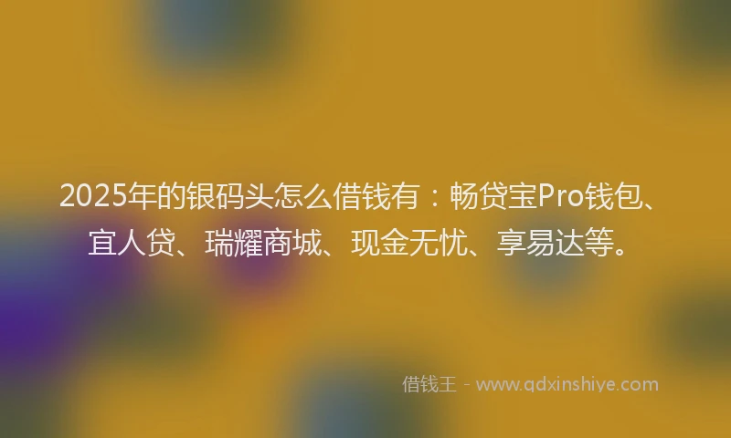 2025年的银码头怎么借钱有：畅贷宝Pro钱包、宜人贷、瑞耀商城、现金无忧、享易达等。