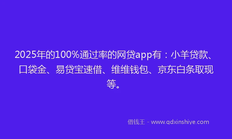 2025年的100%通过率的网贷app有：小羊贷款、口袋金、易贷宝速借、维维钱包、京东白条取现等。