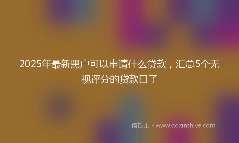 2025年最新黑户可以申请什么贷款，汇总5个无视评分的贷款口子