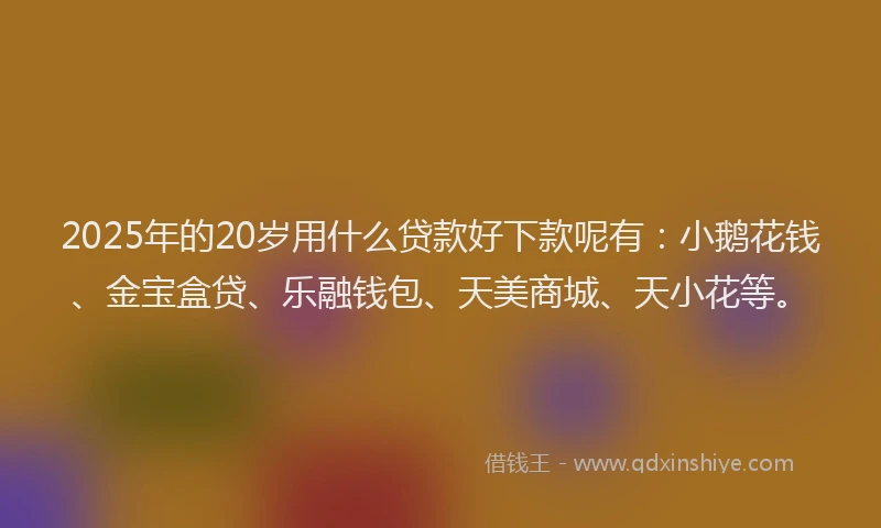 2025年的20岁用什么贷款好下款呢有：小鹅花钱、金宝盒贷、乐融钱包、天美商城、天小花等。