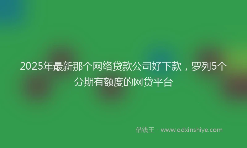 2025年最新那个网络贷款公司好下款，罗列5个分期有额度的网贷平台