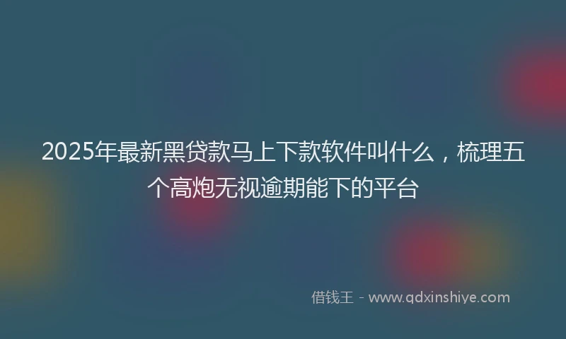 2025年最新黑贷款马上下款软件叫什么，梳理五个高炮无视逾期能下的平台
