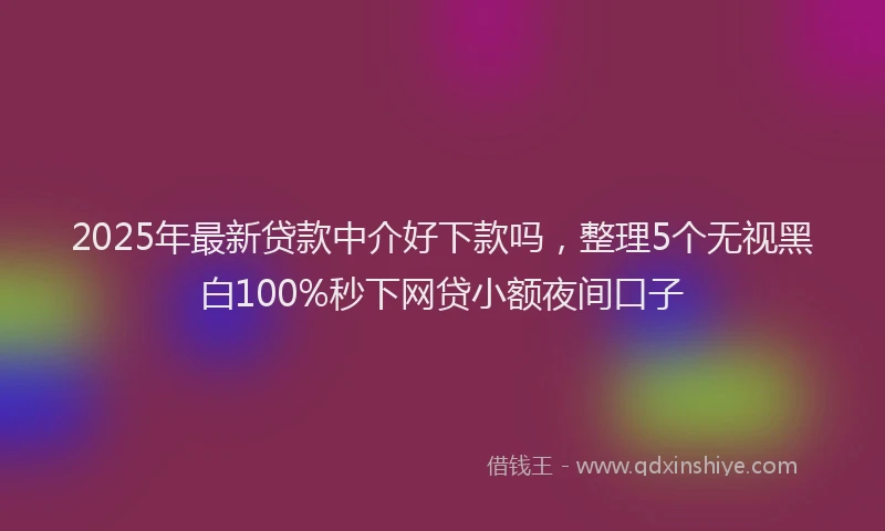 2025年最新贷款中介好下款吗，整理5个无视黑白100%秒下网贷小额夜间口子