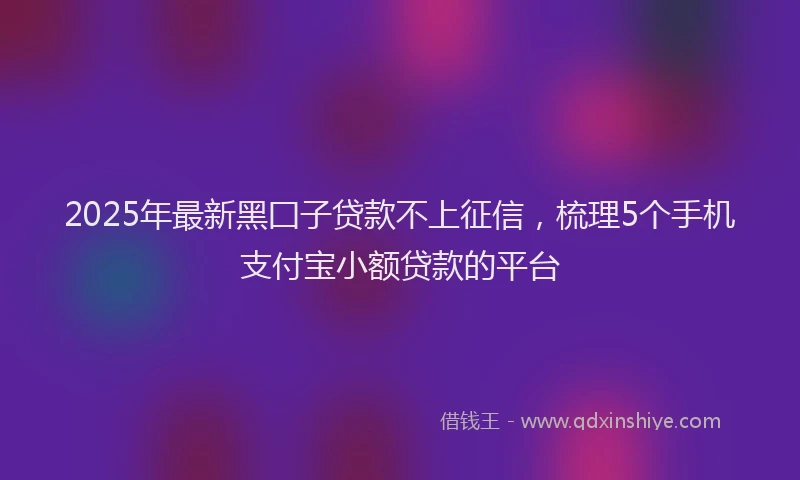 2025年最新黑囗子贷款不上征信，梳理5个手机支付宝小额贷款的平台