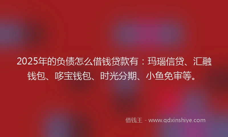 2025年的负债怎么借钱贷款有：玛瑙信贷、汇融钱包、哆宝钱包、时光分期、小鱼免审等。