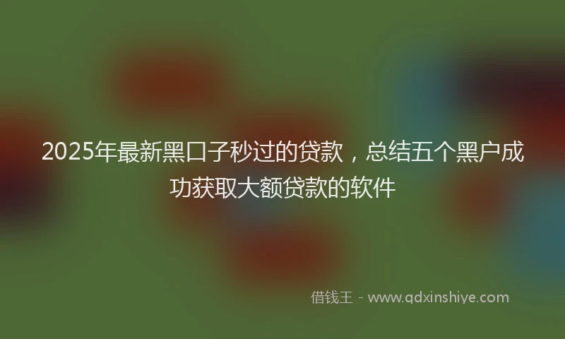 2025年最新黑口子秒过的贷款，总结五个黑户成功获取大额贷款的软件