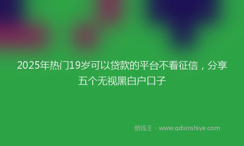 2025年热门19岁可以贷款的平台不看征信，分享五个无视黑白户口子