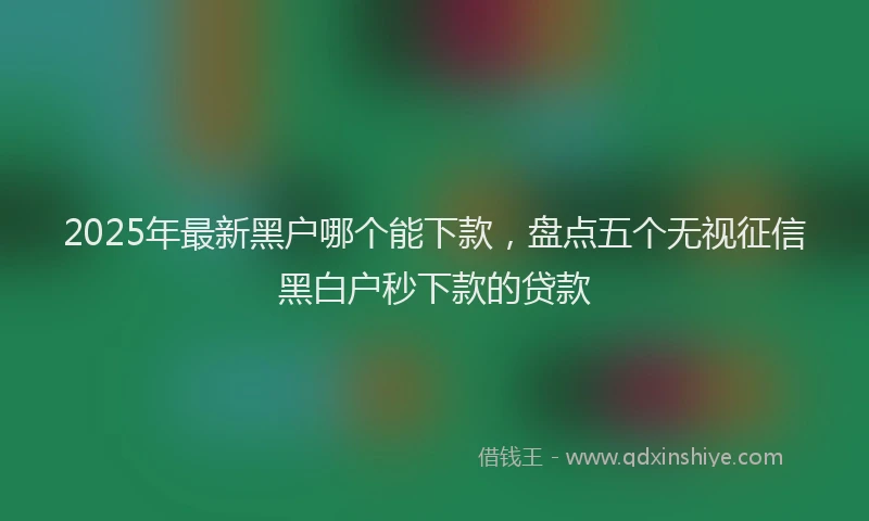 2025年最新黑户哪个能下款，盘点五个无视征信黑白户秒下款的贷款