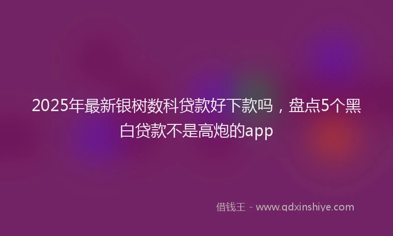 2025年最新银树数科贷款好下款吗，盘点5个黑白贷款不是高炮的app