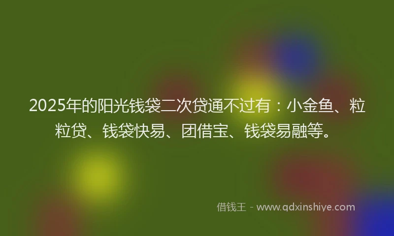 2025年的阳光钱袋二次贷通不过有：小金鱼、粒粒贷、钱袋快易、团借宝、钱袋易融等。