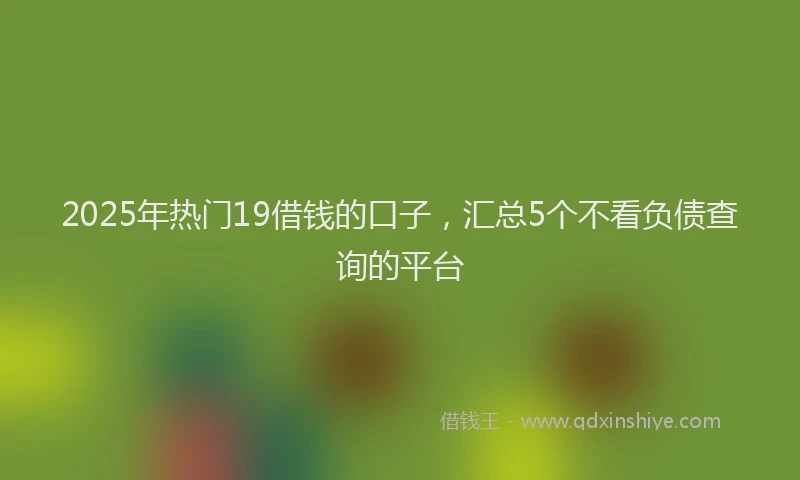 2025年热门19借钱的口子，汇总5个不看负债查询的平台