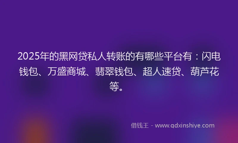 2025年的黑网贷私人转账的有哪些平台有：闪电钱包、万盛商城、翡翠钱包、超人速贷、葫芦花等。