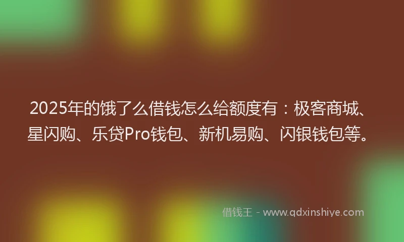 2025年的饿了么借钱怎么给额度有：极客商城、星闪购、乐贷Pro钱包、新机易购、闪银钱包等。