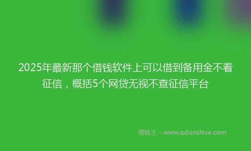 2025年最新那个借钱软件上可以借到备用金不看征信，概括5个网贷无视不查征信平台