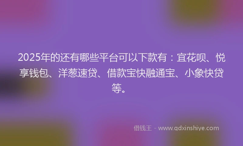 2025年的还有哪些平台可以下款有：宜花呗、悦享钱包、洋葱速贷、借款宝快融通宝、小象快贷等。