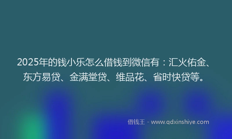 2025年的钱小乐怎么借钱到微信有：汇火佑金、东方易贷、金满堂贷、维品花、省时快贷等。