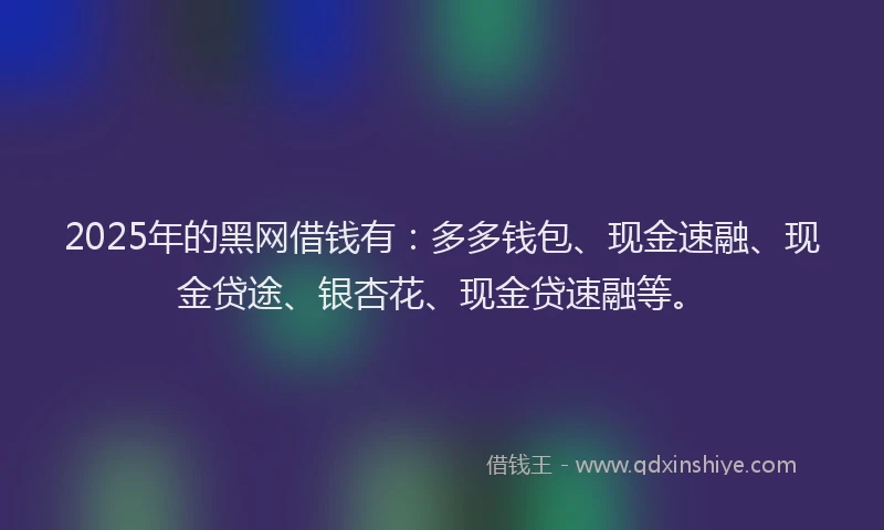 2025年的黑网借钱有：多多钱包、现金速融、现金贷途、银杏花、现金贷速融等。