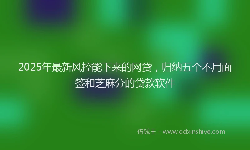 2025年最新风控能下来的网贷，归纳五个不用面签和芝麻分的贷款软件