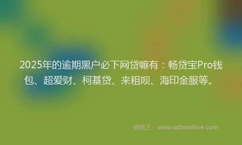 2025年的逾期黑户必下网贷嘛有：畅贷宝Pro钱包、超爱财、柯基贷、来租呗、海印金服等。