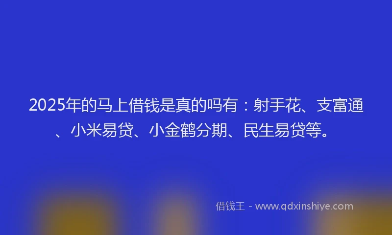 2025年的马上借钱是真的吗有：射手花、支富通、小米易贷、小金鹤分期、民生易贷等。