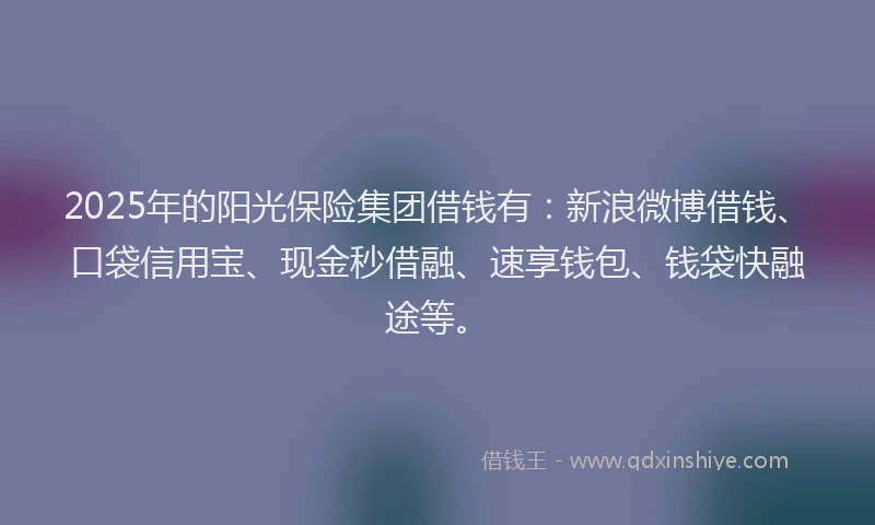 2025年的阳光保险集团借钱有：新浪微博借钱、口袋信用宝、现金秒借融、速享钱包、钱袋快融途等。