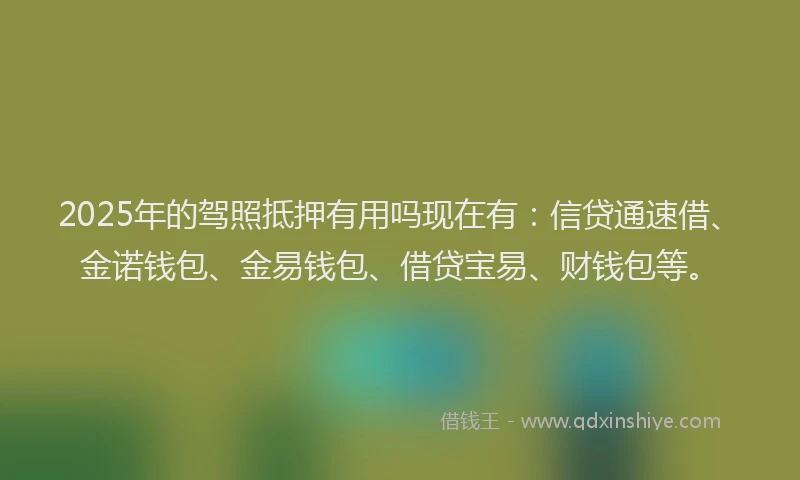 2025年的驾照抵押有用吗现在有：信贷通速借、金诺钱包、金易钱包、借贷宝易、财钱包等。