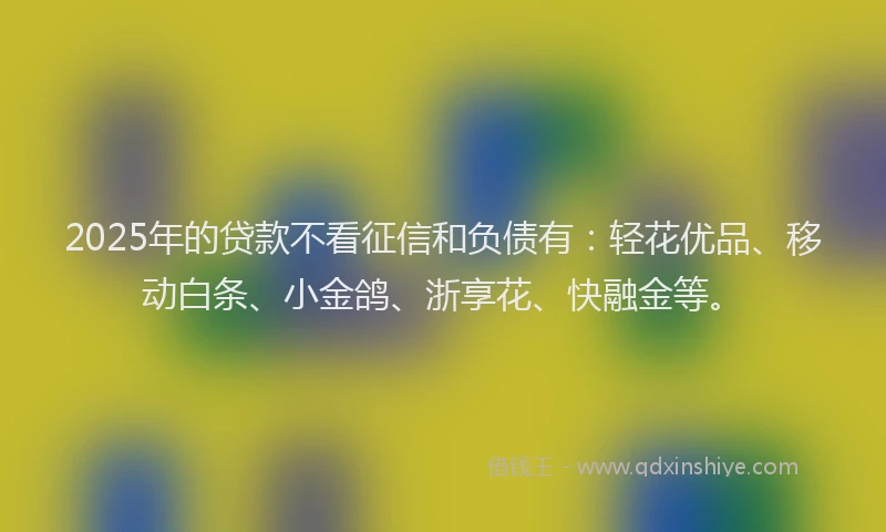 2025年的贷款不看征信和负债有：轻花优品、移动白条、小金鸽、浙享花、快融金等。