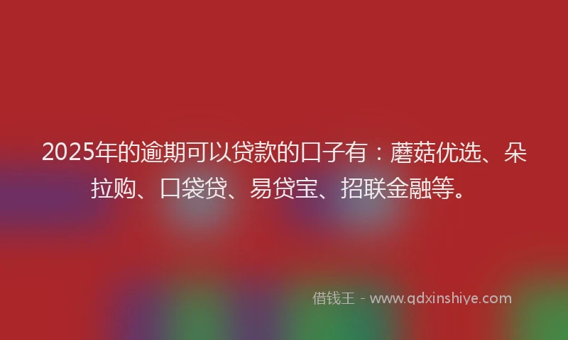 2025年的逾期可以贷款的口子有：蘑菇优选、朵拉购、口袋贷、易贷宝、招联金融等。