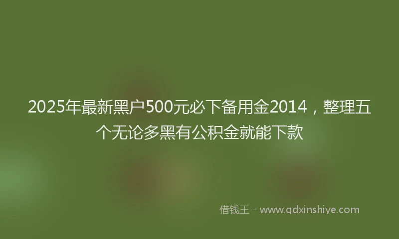 2025年最新黑户500元必下备用金2014，整理五个无论多黑有公积金就能下款