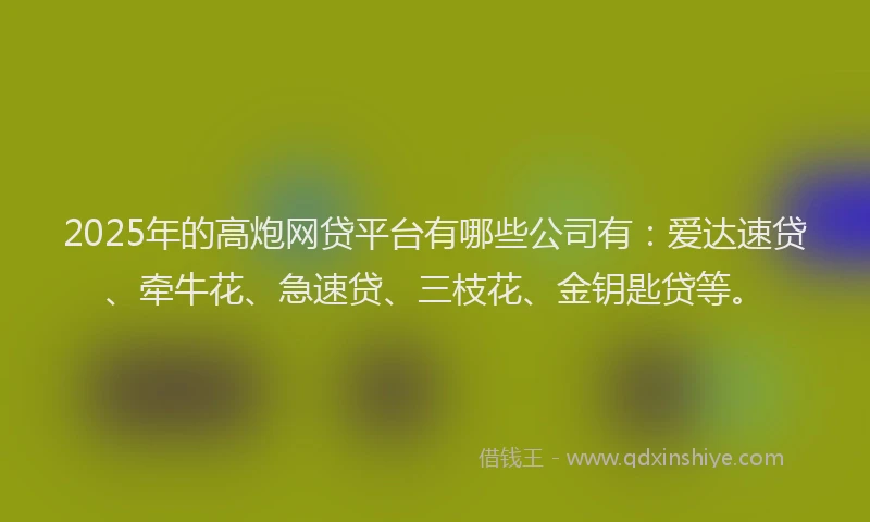 2025年的高炮网贷平台有哪些公司有：爱达速贷、牵牛花、急速贷、三枝花、金钥匙贷等。