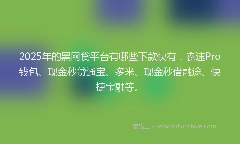2025年的黑网贷平台有哪些下款快有：鑫速Pro钱包、现金秒贷通宝、多米、现金秒借融途、快捷宝融等。