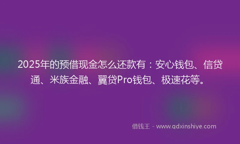 2025年的预借现金怎么还款有：安心钱包、信贷通、米族金融、翼贷Pro钱包、极速花等。