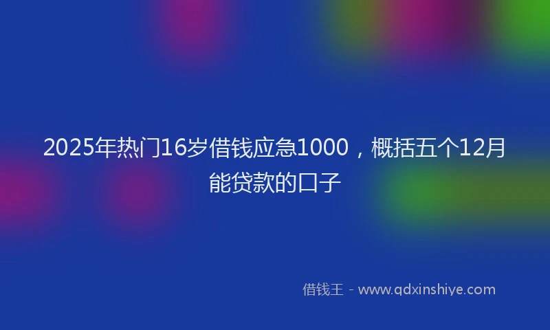 2025年热门16岁借钱应急1000，概括五个12月能贷款的口子