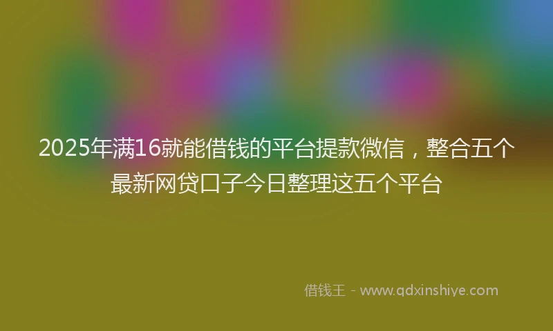 2025年满16就能借钱的平台提款微信，整合五个最新网贷口子今日整理这五个平台