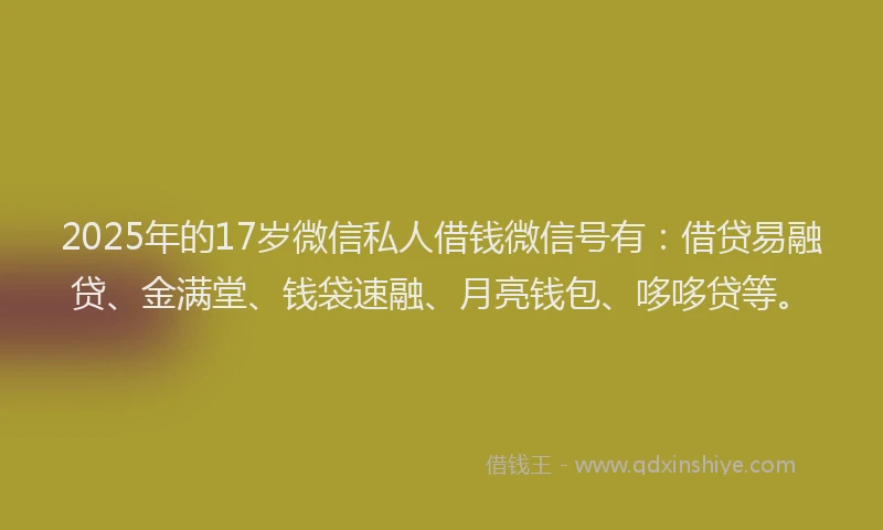 2025年的17岁微信私人借钱微信号有：借贷易融贷、金满堂、钱袋速融、月亮钱包、哆哆贷等。