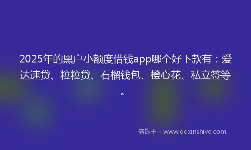 2025年的黑户小额度借钱app哪个好下款有：爱达速贷、粒粒贷、石榴钱包、橙心花、私立签等。