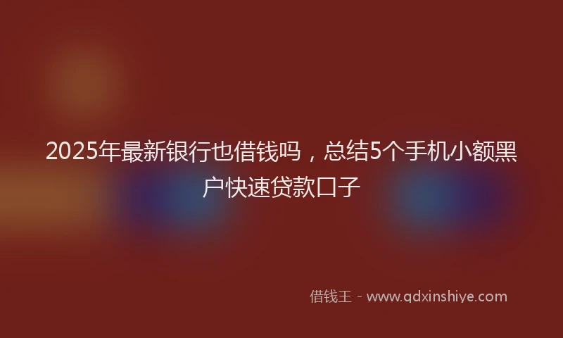 2025年最新银行也借钱吗，总结5个手机小额黑户快速贷款口子