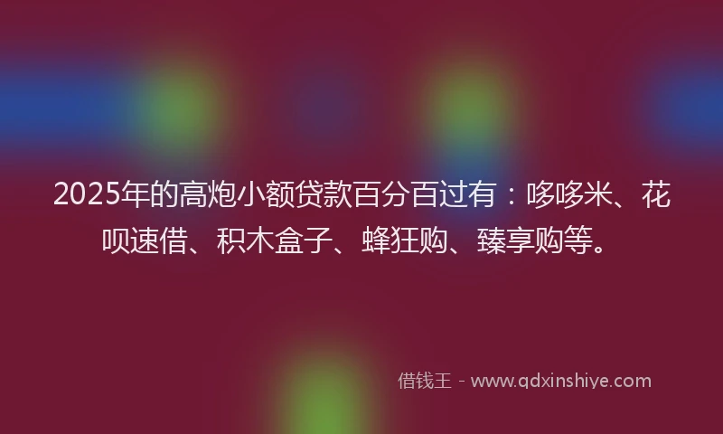 2025年的高炮小额贷款百分百过有：哆哆米、花呗速借、积木盒子、蜂狂购、臻享购等。