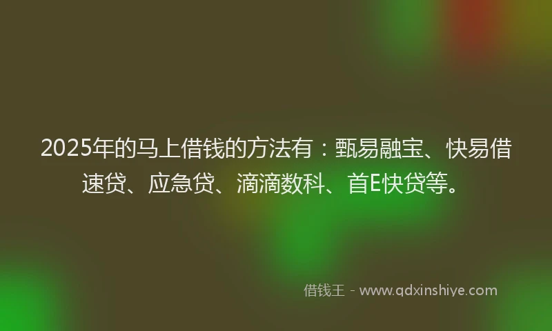 2025年的马上借钱的方法有：甄易融宝、快易借速贷、应急贷、滴滴数科、首E快贷等。