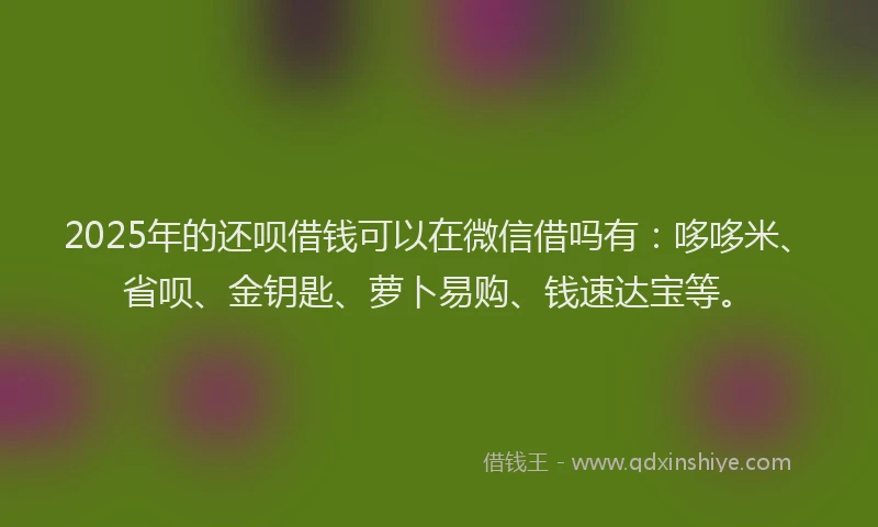 2025年的还呗借钱可以在微信借吗有：哆哆米、省呗、金钥匙、萝卜易购、钱速达宝等。