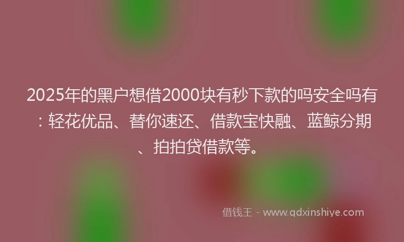 2025年的黑户想借2000块有秒下款的吗安全吗有：轻花优品、替你速还、借款宝快融、蓝鲸分期、拍拍贷借款等。