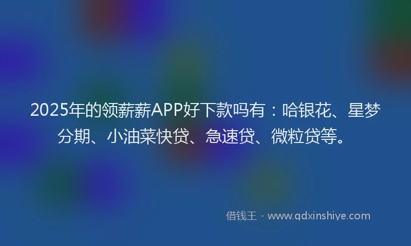 2025年的领薪薪APP好下款吗有：哈银花、星梦分期、小油菜快贷、急速贷、微粒贷等。