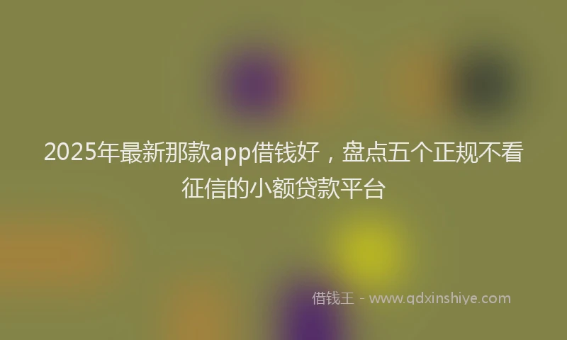 2025年最新那款app借钱好，盘点五个正规不看征信的小额贷款平台