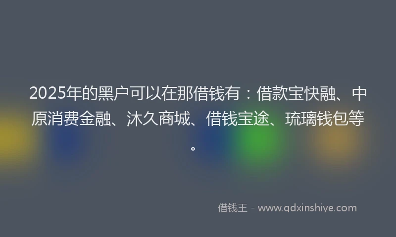 2025年的黑户可以在那借钱有：借款宝快融、中原消费金融、沐久商城、借钱宝途、琉璃钱包等。