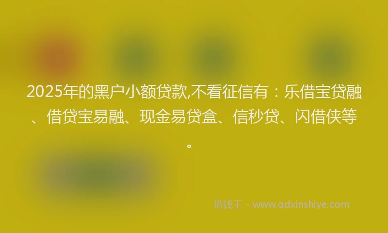 2025年的黑户小额贷款,不看征信有：乐借宝贷融、借贷宝易融、现金易贷盒、信秒贷、闪借侠等。