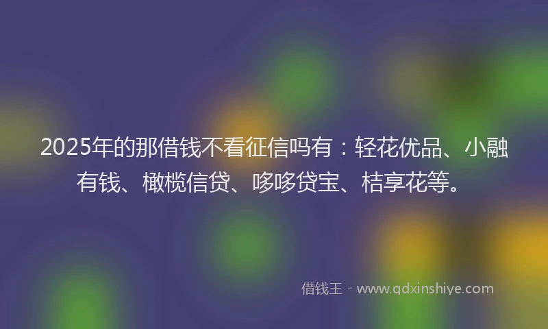 2025年的那借钱不看征信吗有：轻花优品、小融有钱、橄榄信贷、哆哆贷宝、桔享花等。