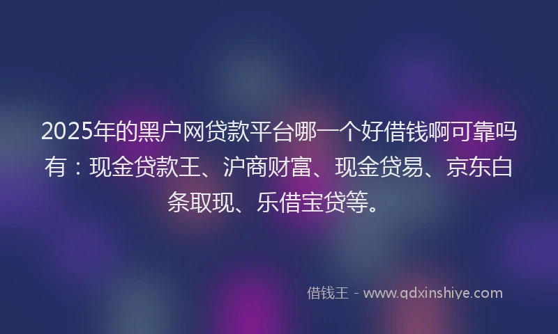 2025年的黑户网贷款平台哪一个好借钱啊可靠吗有：现金贷款王、沪商财富、现金贷易、京东白条取现、乐借宝贷等。