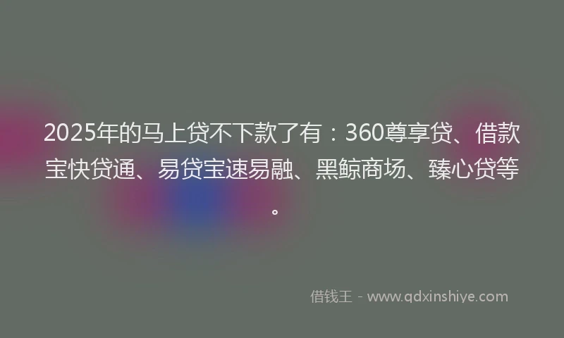 2025年的马上贷不下款了有：360尊享贷、借款宝快贷通、易贷宝速易融、黑鲸商场、臻心贷等。